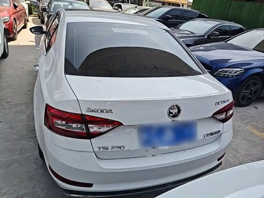 Škoda Octavia 2018 TSI230 DSG Luxury Edition фото 6