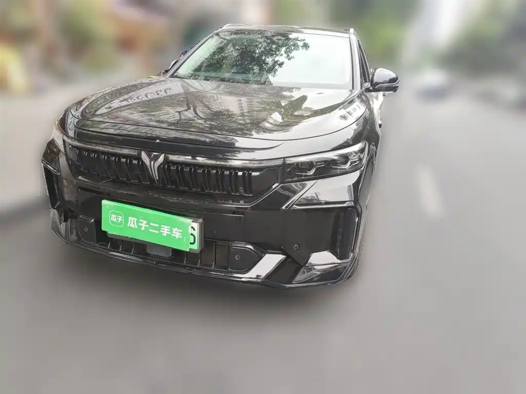 Voyah Auto VOYAH FREE 2024 Ultra Long Range Intelligent Driving Edition