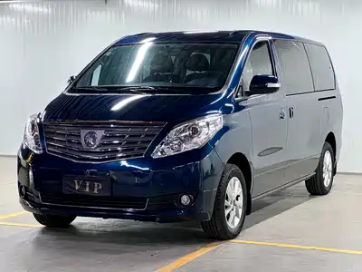 Forthing Lingzhi PLUS