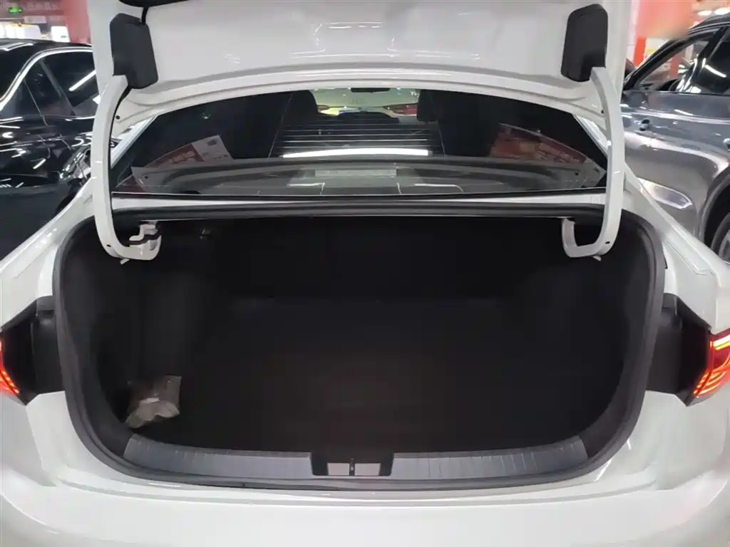 Volkswagen Sagitar 2025 300TSI DSG Surpass Edition фото 19
