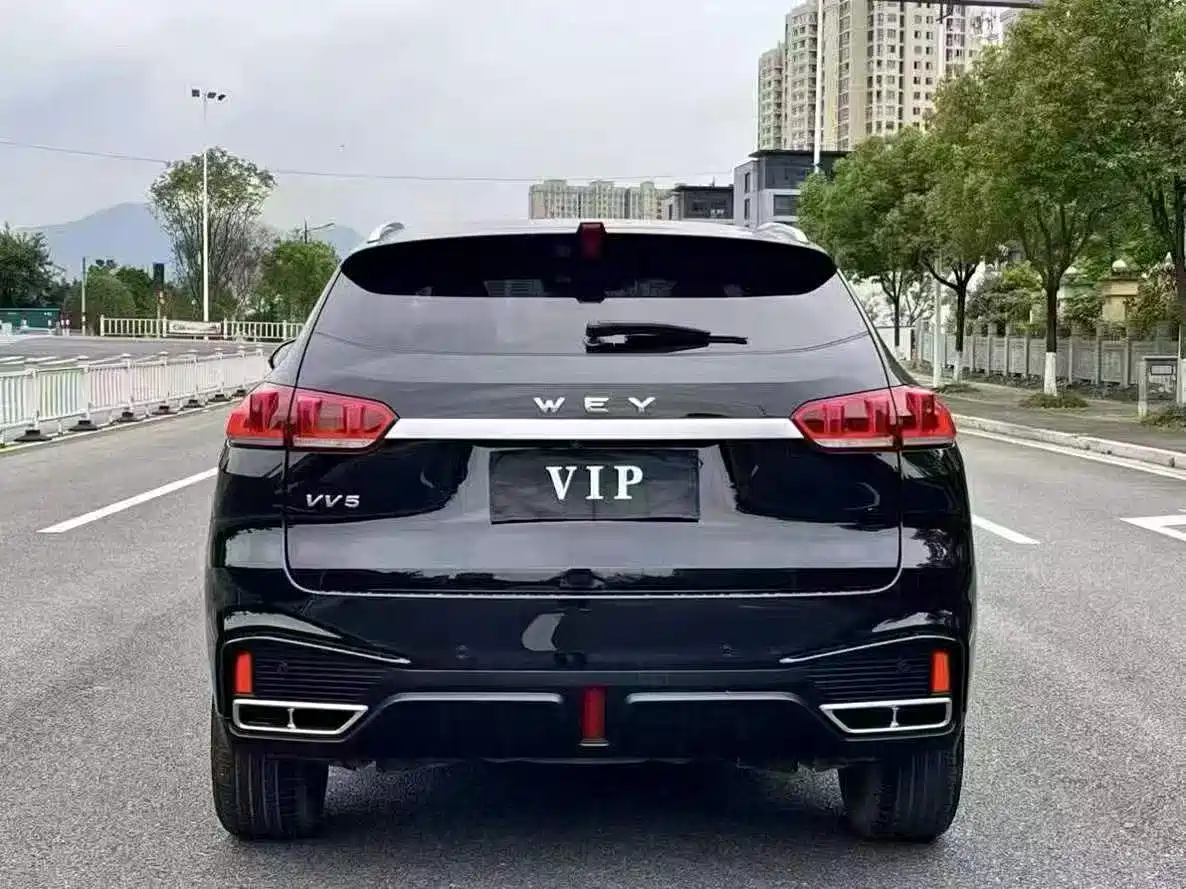 WEI PAI WEI BRAND VV5