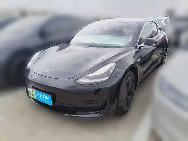 Tesla Model 3 2020 Facelift Standard Range RWD Upgrade — фото 1