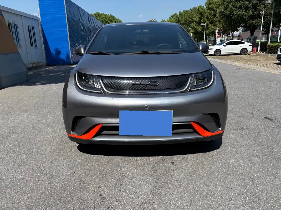 Фото 2 - BYD Dolphin