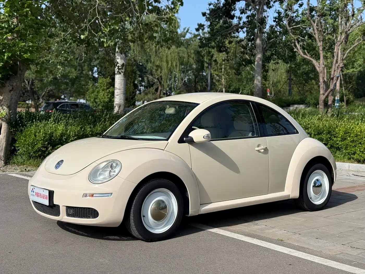 Volkswagen Beetle 2010 Model 1.6 AT