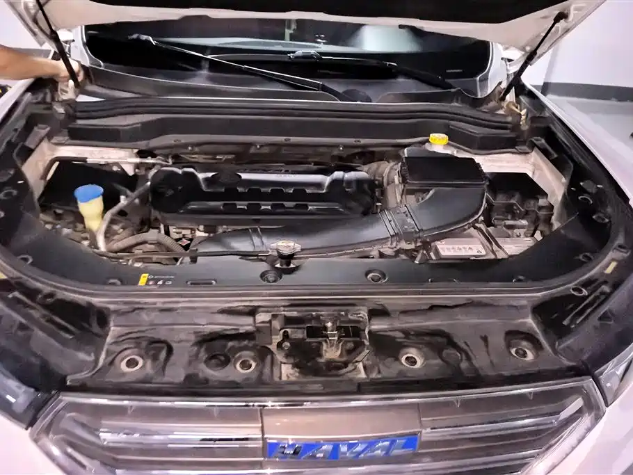 Haval H6 2017 Blue Label 2.0T Auto 2WD Leader фото 10