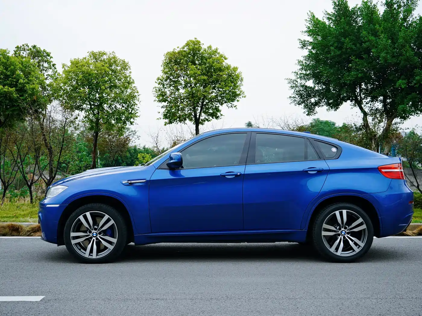 BMW X6 M 2010 X6 M фото 4
