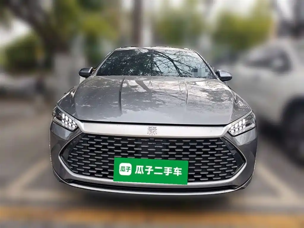 BYD Qin PLUS 2024 Glory Edition DM-i 55KM Leading фото 2