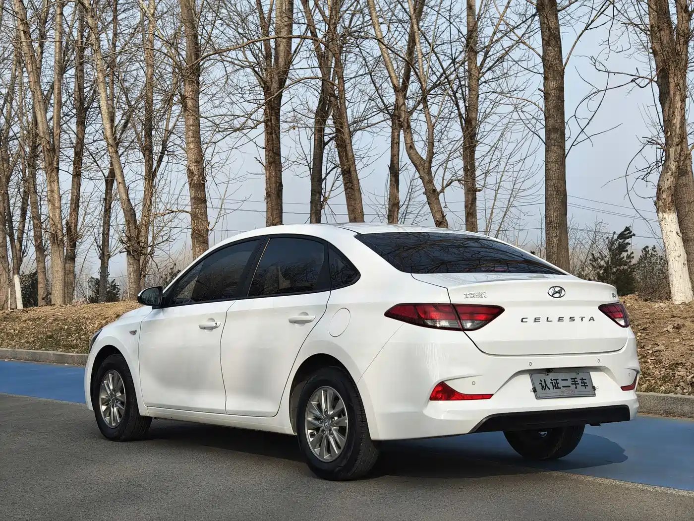 HYUNDAI YUEDONG