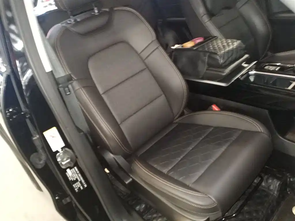Haval Big Dog 2022 1.5T DCT FWD Border Collie Edition фото 25