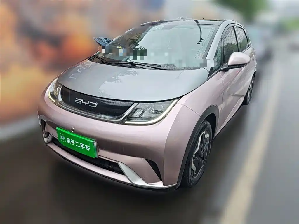 BYD Dolphin 2021 Model 405km Fashion Edition