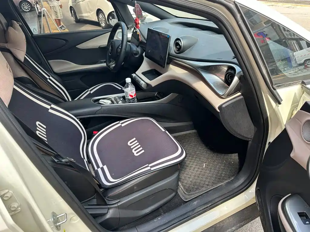 BYD Dolphin 2025 2025 420km Freedom Edition