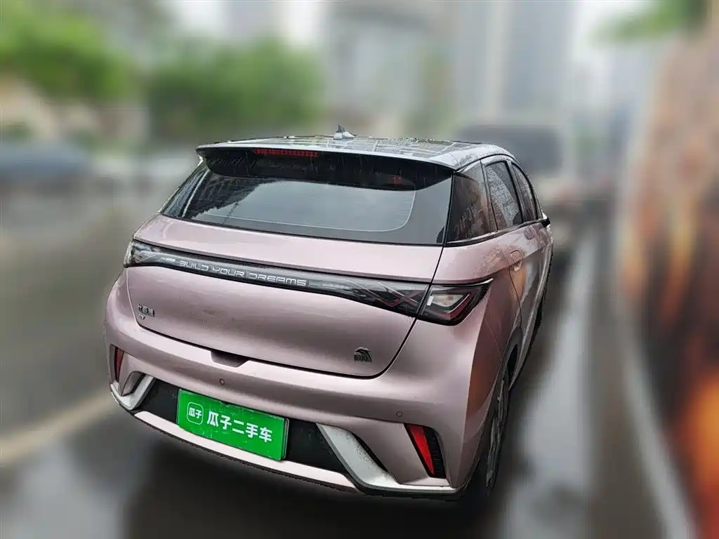 BYD Dolphin 2021 Model 405km Fashion Edition фото 4