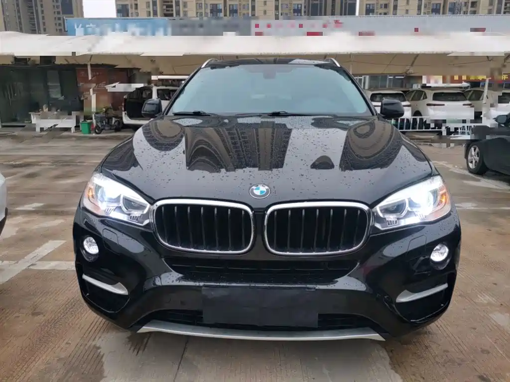 BMW X6 2015 xDrive35i Leading Type фото 3