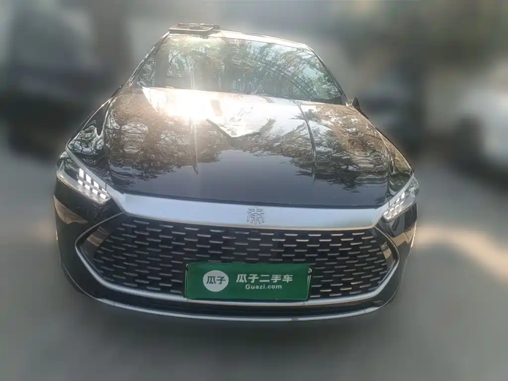 BYD Qin PLUS 2024 Glory Edition DM-i 55KM Leading фото 2