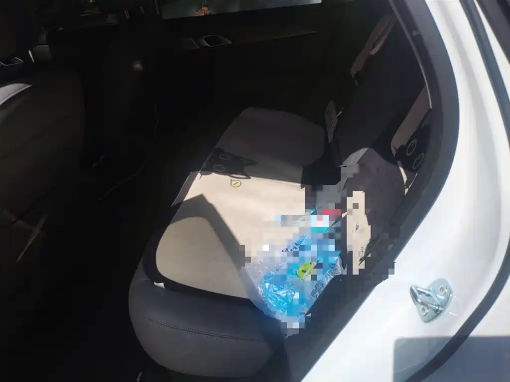 Geely Galaxy Galaxy A7 2025 EM-i 150km Premium Edition фото 13