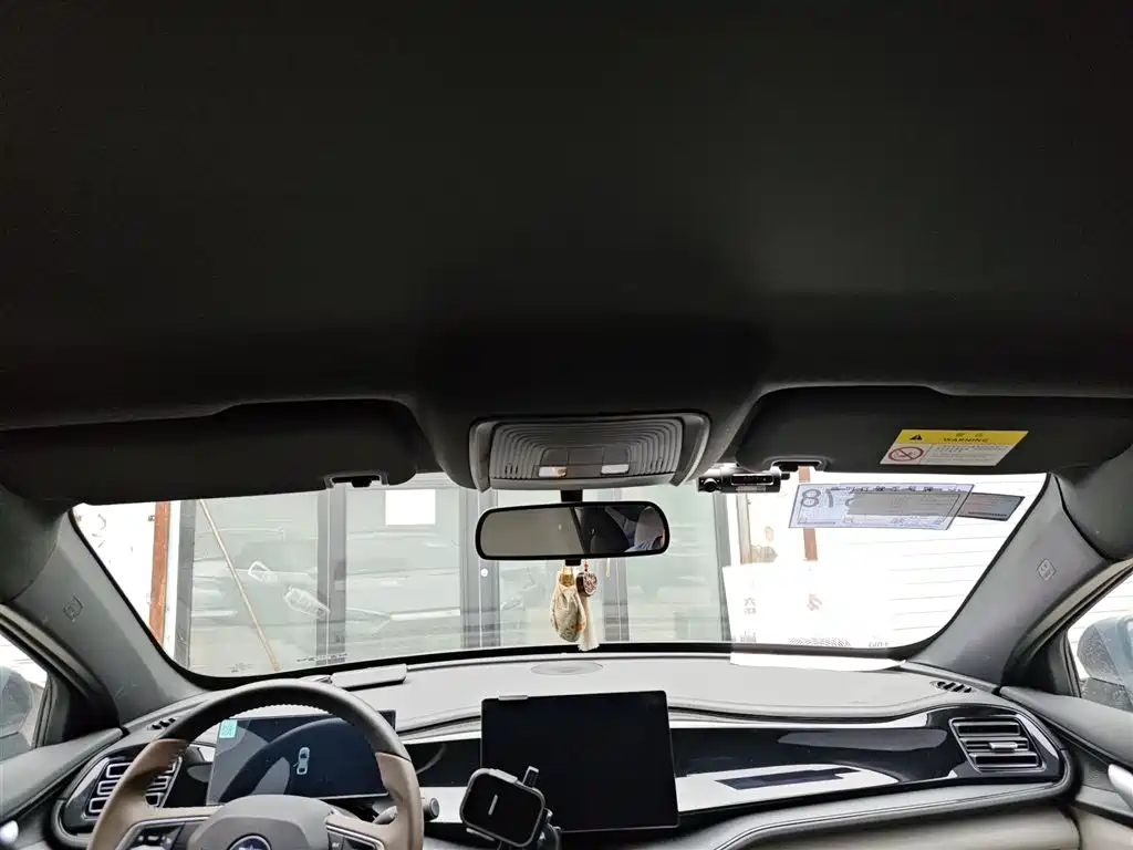 BYD Qin PLUS 2023 Champion Edition DM-i 55KM Leading фото 14