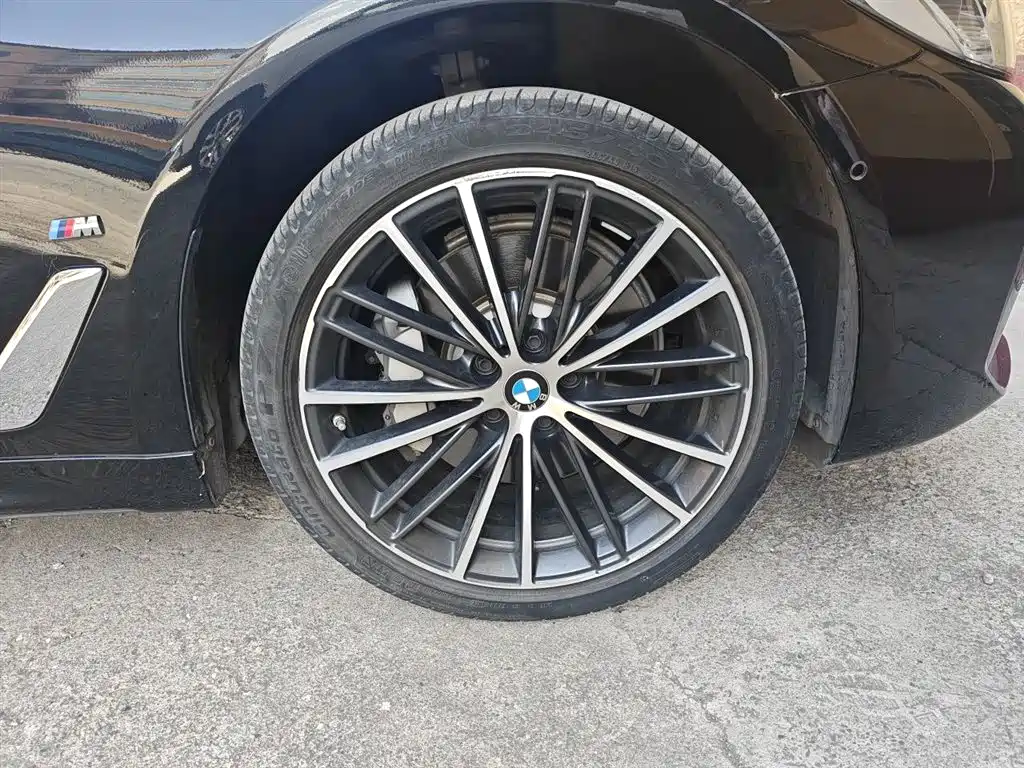 BMW 5 Series 2022 Model Second Facelift 530Li Leading M Sport Package фото 26