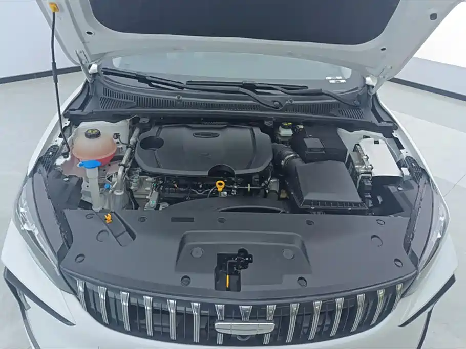 GEELY AUTOMOBILE BINRUI