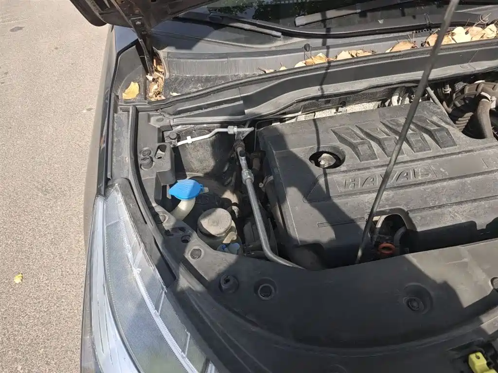 Haval M6 2019 1.5T DCT 2WD Value Edition (China VI) фото 21