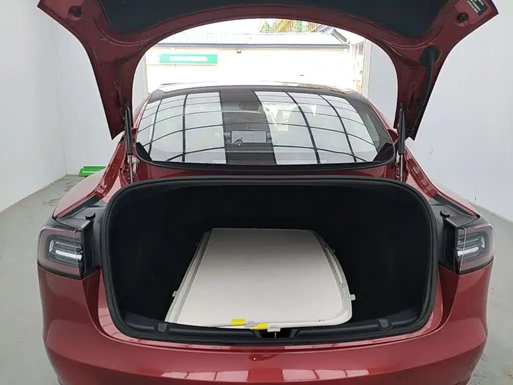 Tesla Model 3 2020 2020 Standard Range Rear-Wheel Drive Upgrade