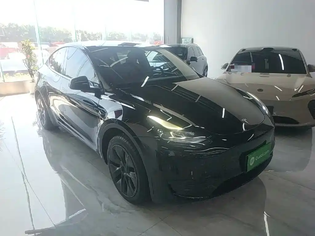 Фото 4 - Tesla Model Y