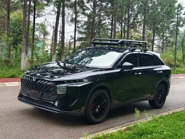  Venucia Venucia Big V 2022 260T Dark Horse Edition·Idol