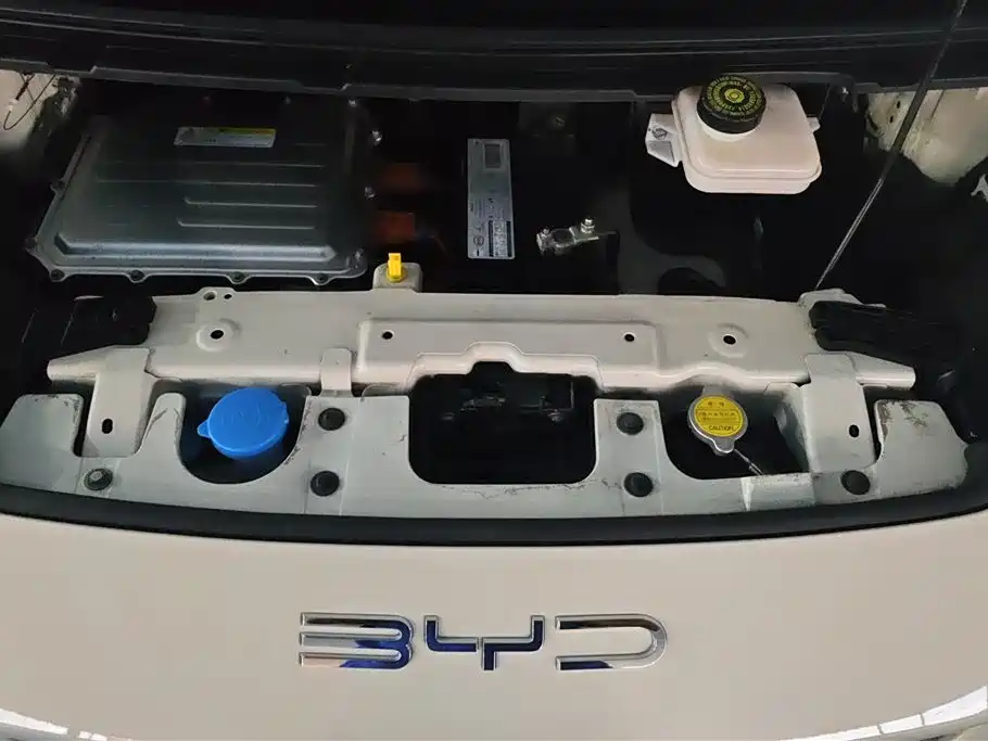 BYD Seagull 2023 Vitality Edition фото 10