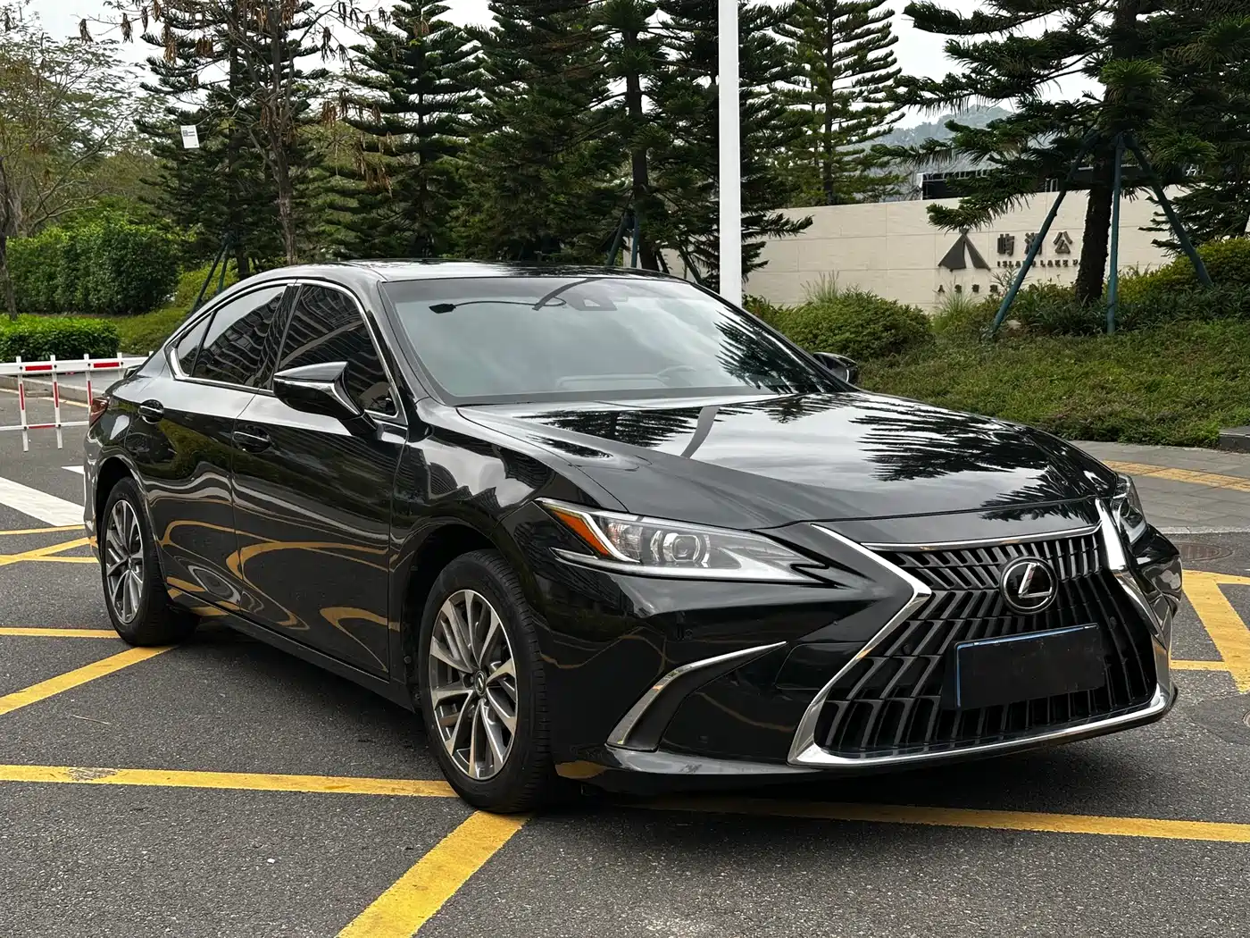 Lexus ES 2022 200 Excellence Edition фото 3