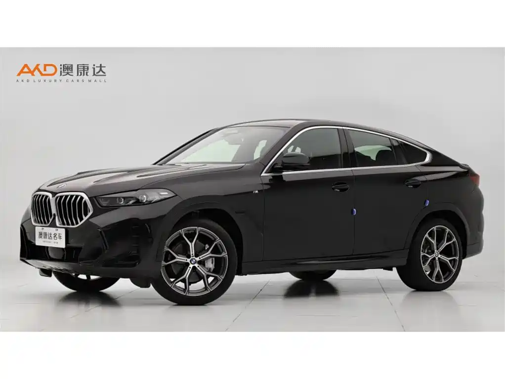 BMW X6 2023 xDrive30i M Sport Package
