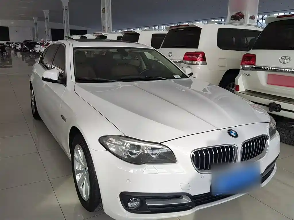 BMW 5 Series 2014 520Li Elegance фото 4