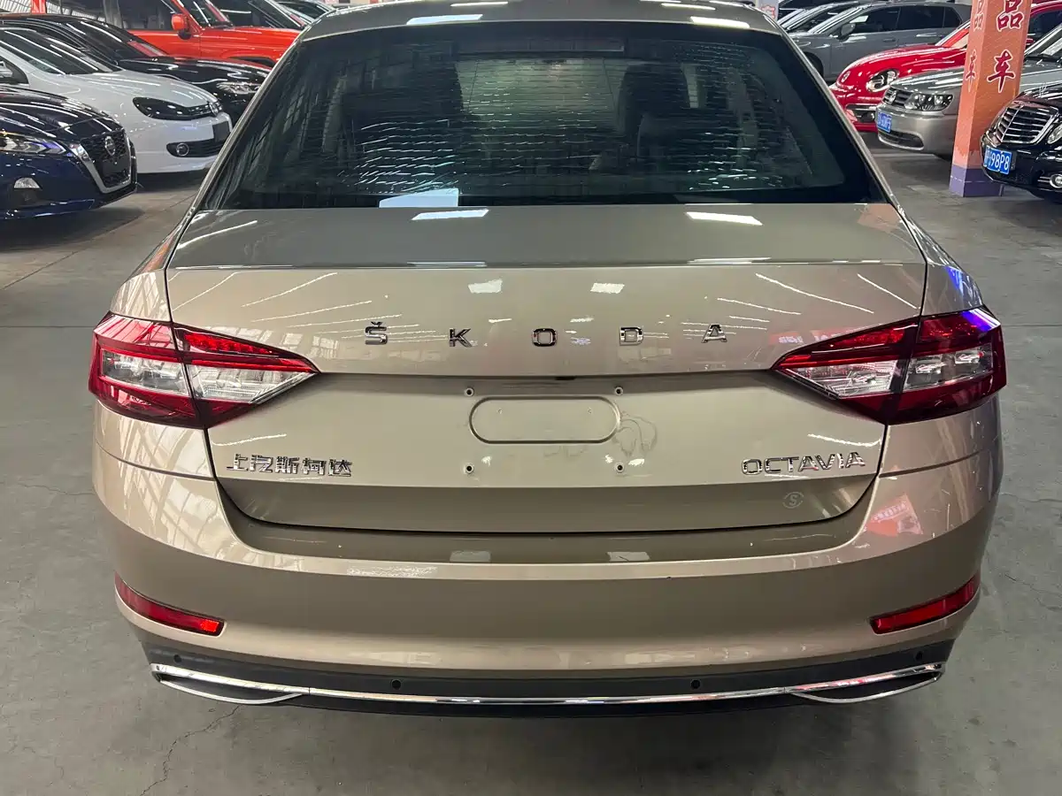 Škoda Octavia 2019 1.5L Automatic Smart Luxury Edition China V фото 6