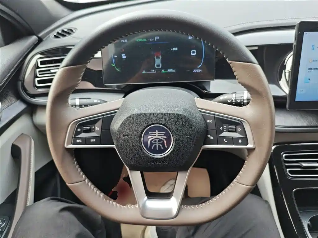 BYD Qin PLUS 2024 Glory Edition DM-i 55KM Leading фото 7
