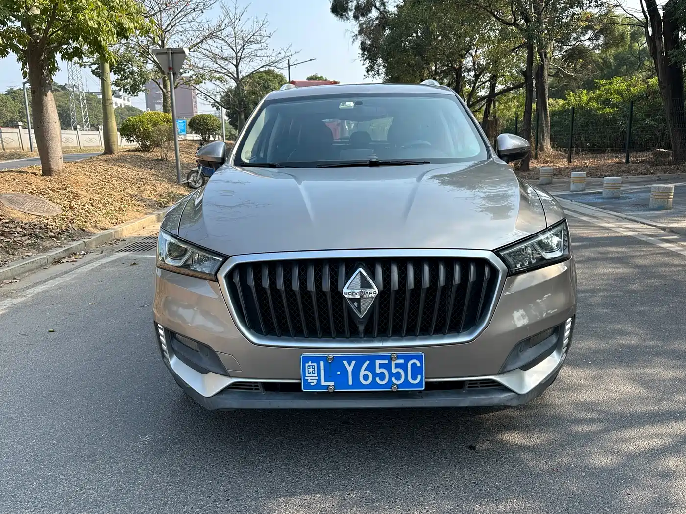Borgward BX5 2017 2017 Model 20TGDI Automatic 2WD Vanguard Type