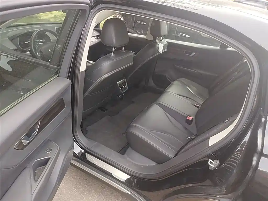 Hongqi E-QM5 2023 Facelift Basic Travel Edition фото 17