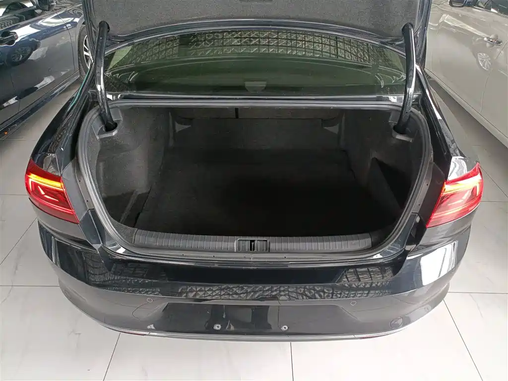 Volkswagen Magotan 2020 280TSI DSG Comfort фото 15