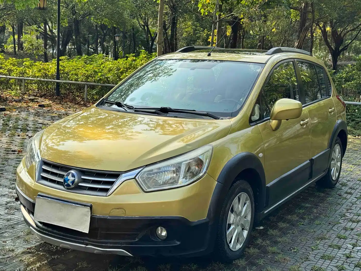 2014 Venucia R50X