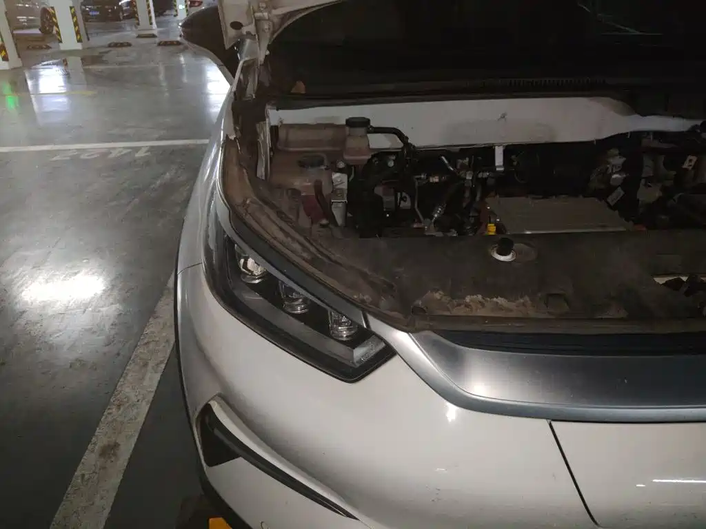 BYD Yuan Pro 2022 2021 401KM Premium Model