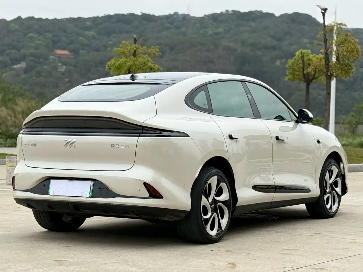 ZHIJI AUTOMOBILE ZHIJI LS6