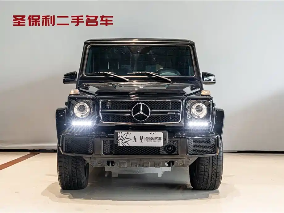 Mercedes-Benz G-Class 2017 G 500 фото 2