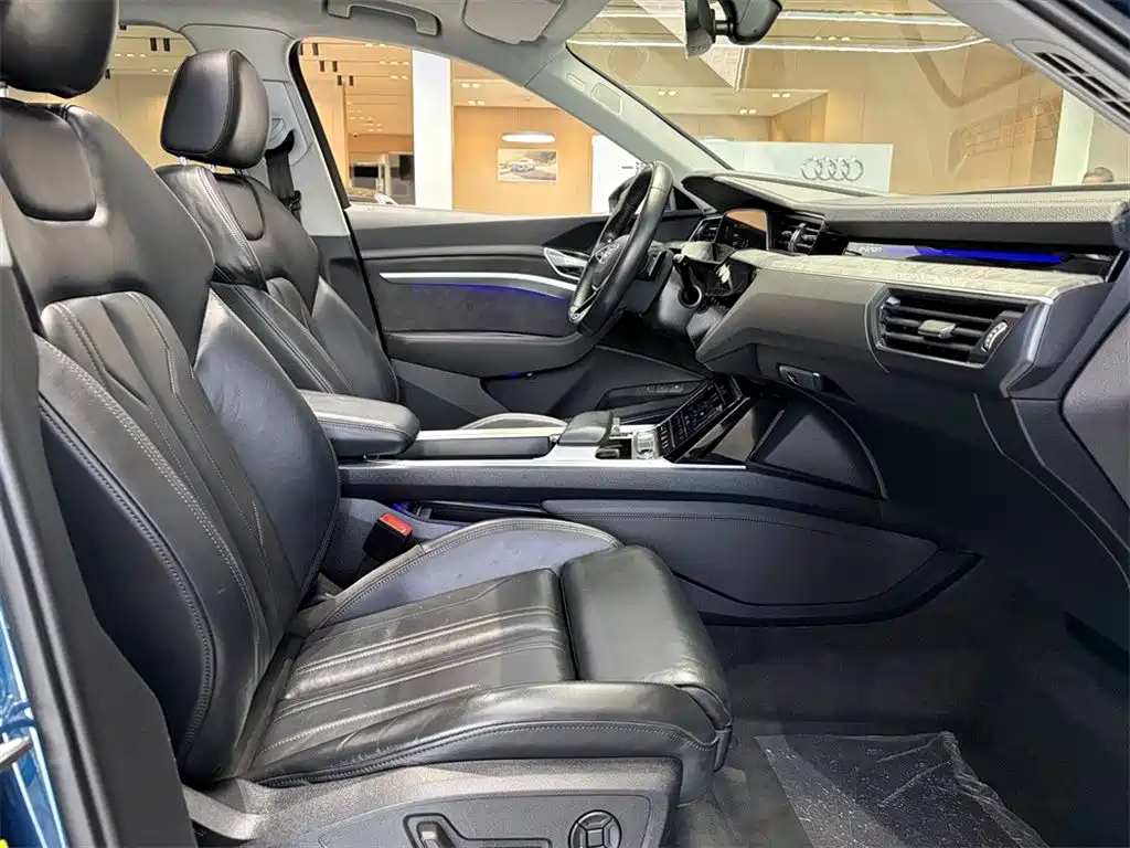 Audi e-tron (Import) 2020 2019 55 quattro Technology