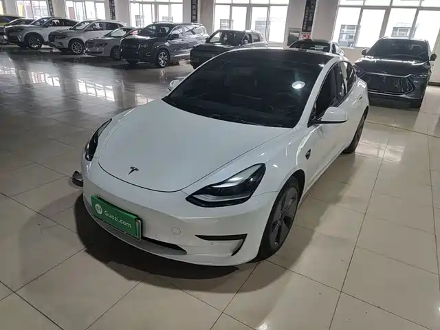  Tesla Model 3 2021 Standard Range Rear-Wheel Drive Upgrade 3D6