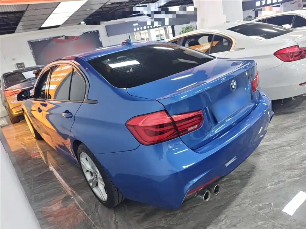 BMW 3 Series 2019 320Li M Sport Package фото 21