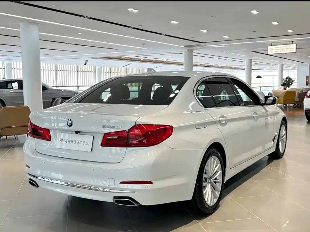 BMW 5 Series 2020 530Li Leading Luxury Package фото 8