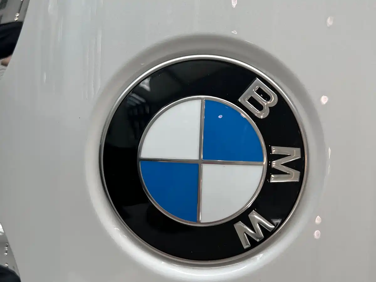 BMW 5 Series 2021 530Li Executive M Sport Package фото 9