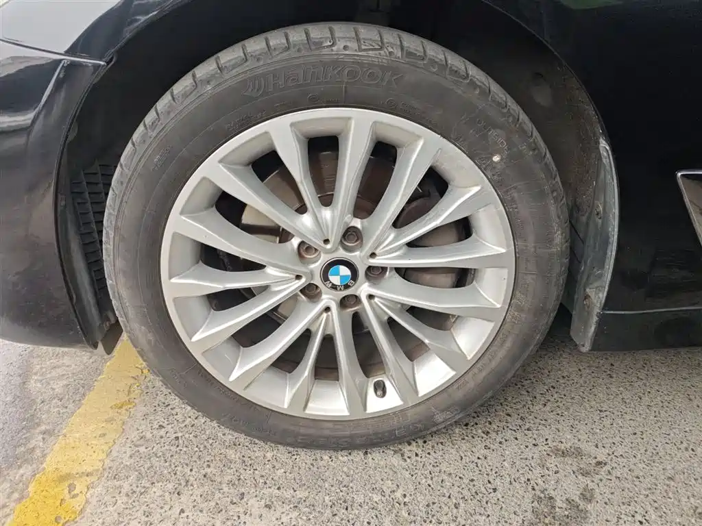 BMW 5 Series 2019 525Li Luxury Package фото 23