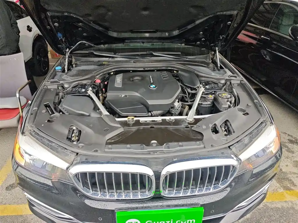 BMW 5 Series 2019 525Li Luxury Package фото 20