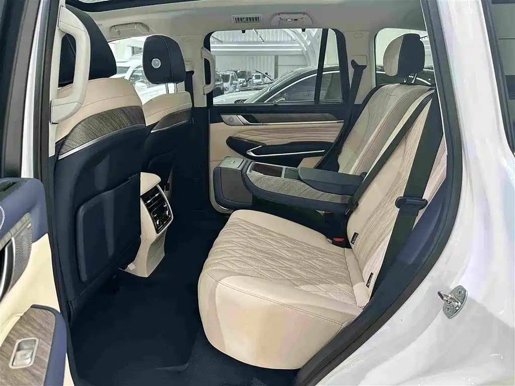 Tank 500 2022 2022 3.0T Business Edition Zaojing 5-Seater