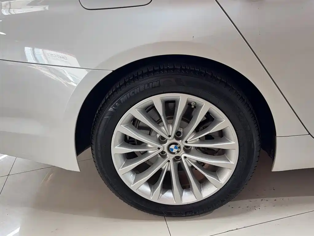 BMW 5 Series 2020 530Li Leading Luxury Package фото 4