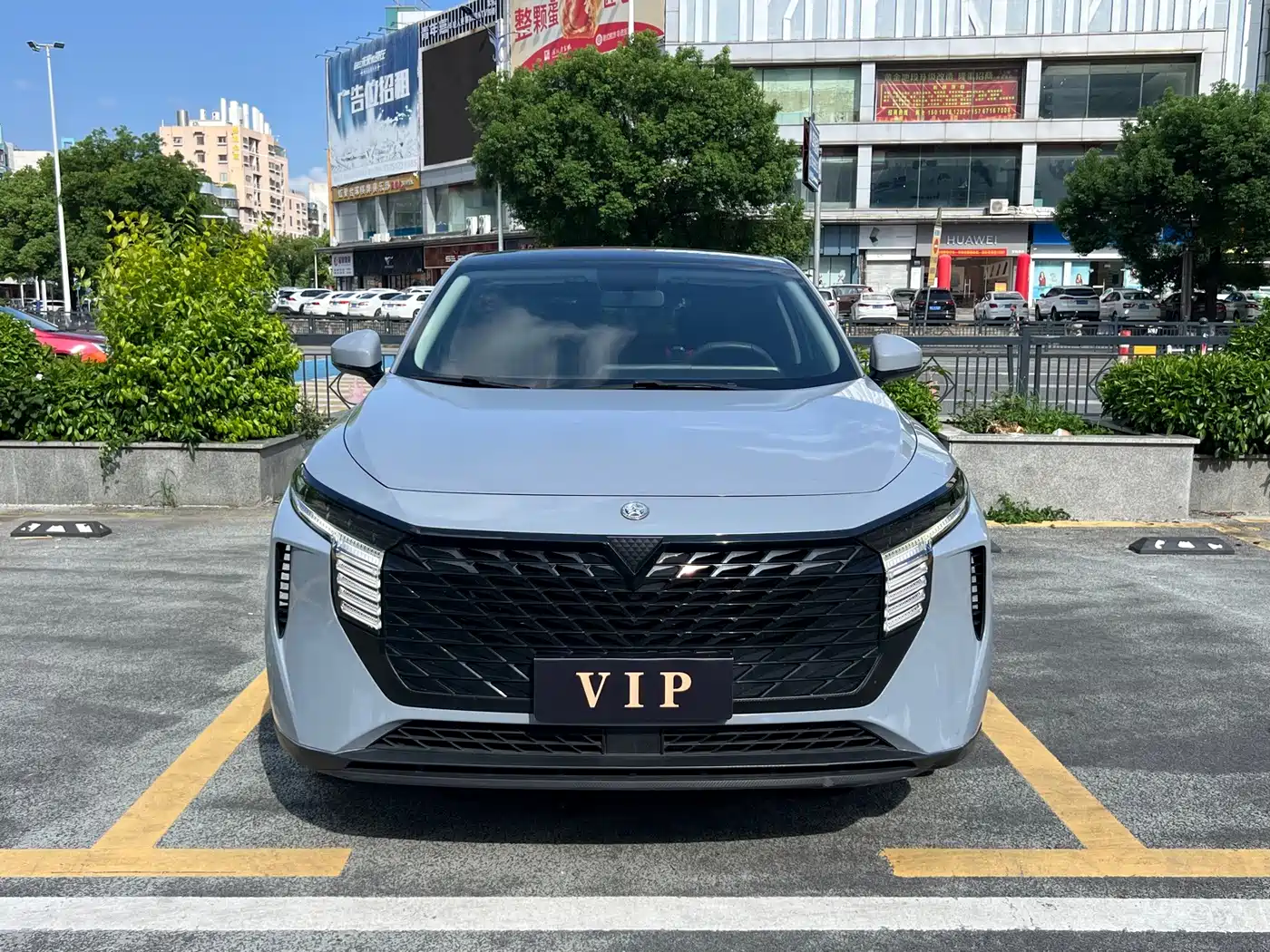 Venucia Big V 2022 2021 260T Idol Edition