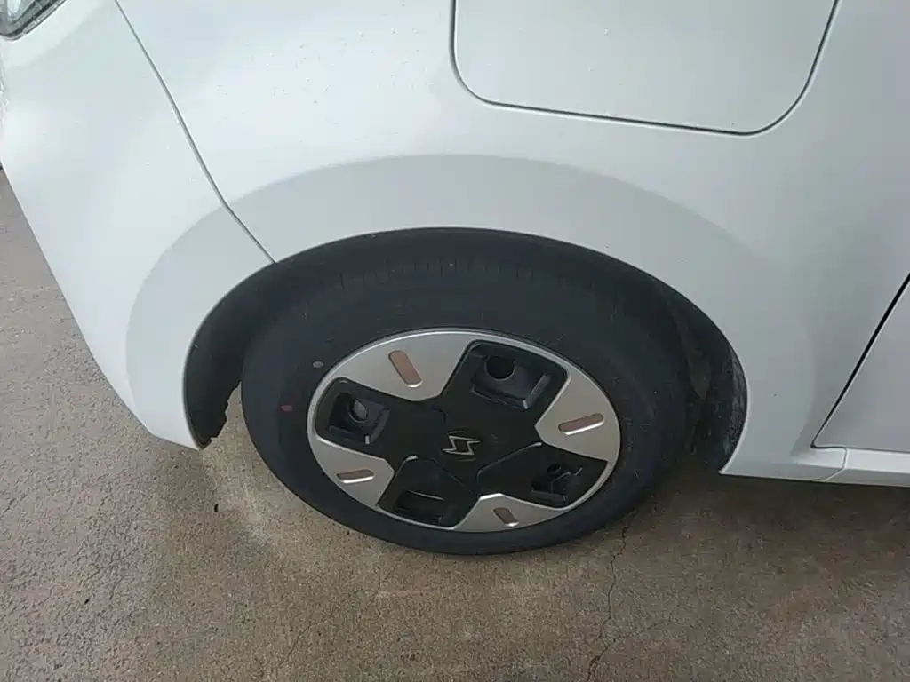 Sehol Flower Fairy 2023 2023 251km Four-leaf Clover 36kW